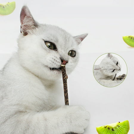 Ponacat 3 Pieces Pet Catnip Lollipop,Cat Natural Organic Catnip Stick Chew Toy,Cat Teeth Cleaning Treats,Cat Mint Lollipop,Cat Dental Chews Sticks for Cat Teeth Cleaning Oral Health Emotion Stability